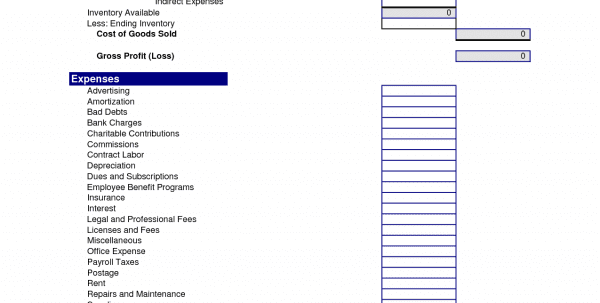 profit and loss account sample