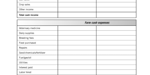 Income And Expense Statement Template Expense Spreadsheet Income