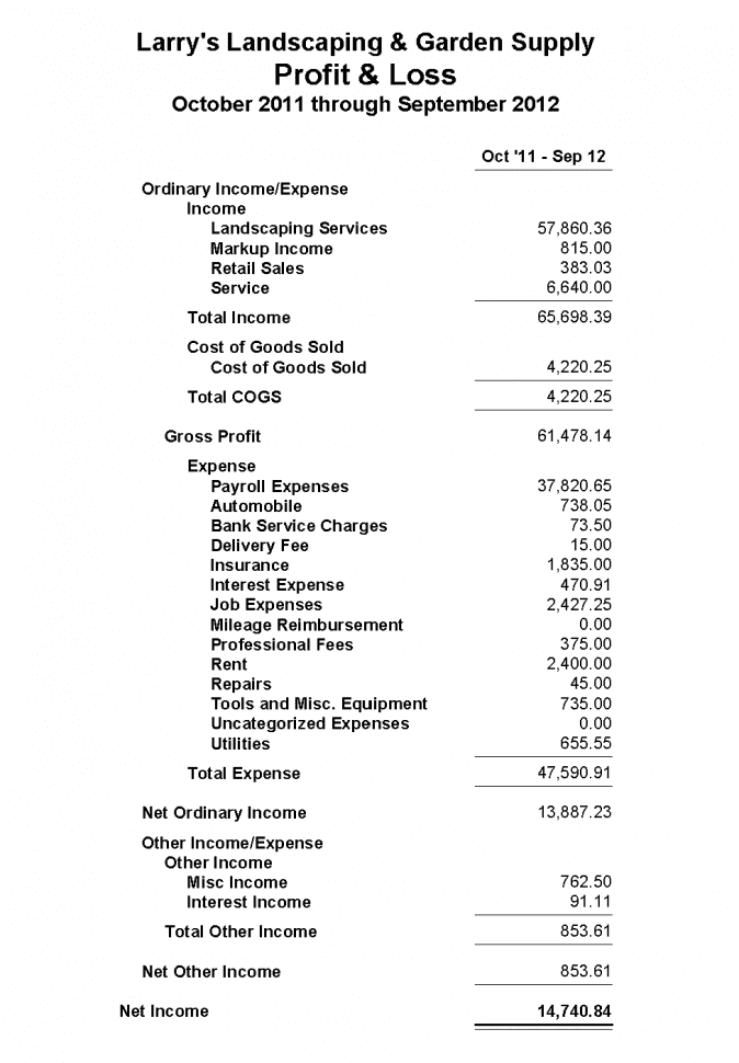 Example Of Profit And Loss Statement Template