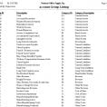 Basic Accounts Spreadsheet Excel