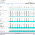 Excel Monthly Cash Flow Template