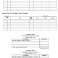 party ledger format excel