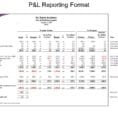 Profit And Loss Statement Template Excel 2007 1