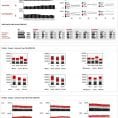 Microsoft Excel Dashboard Templates Free Download