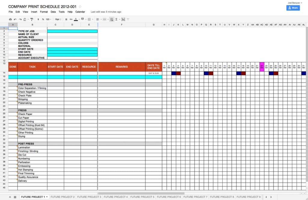 project management template xls