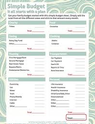 Simple Income and Expense Form