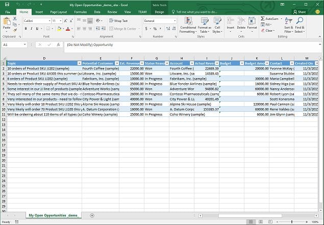 Excel Client Database