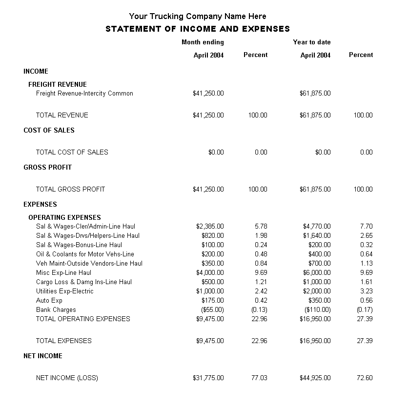 Sample Income Statement 1