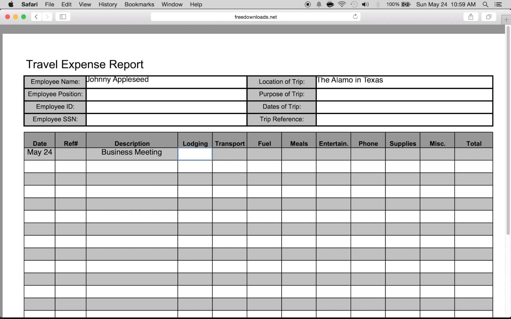 travel expense report template 1
