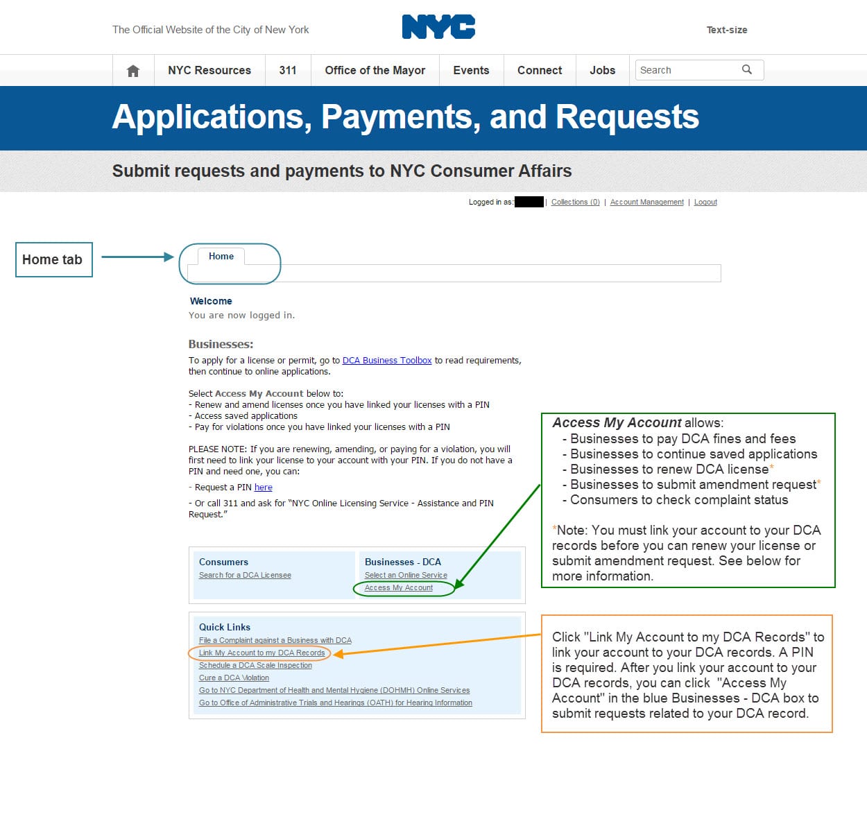 how to get a business license online —