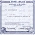 Llc Business License