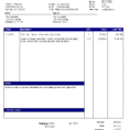 Professional Invoice Template Word 1