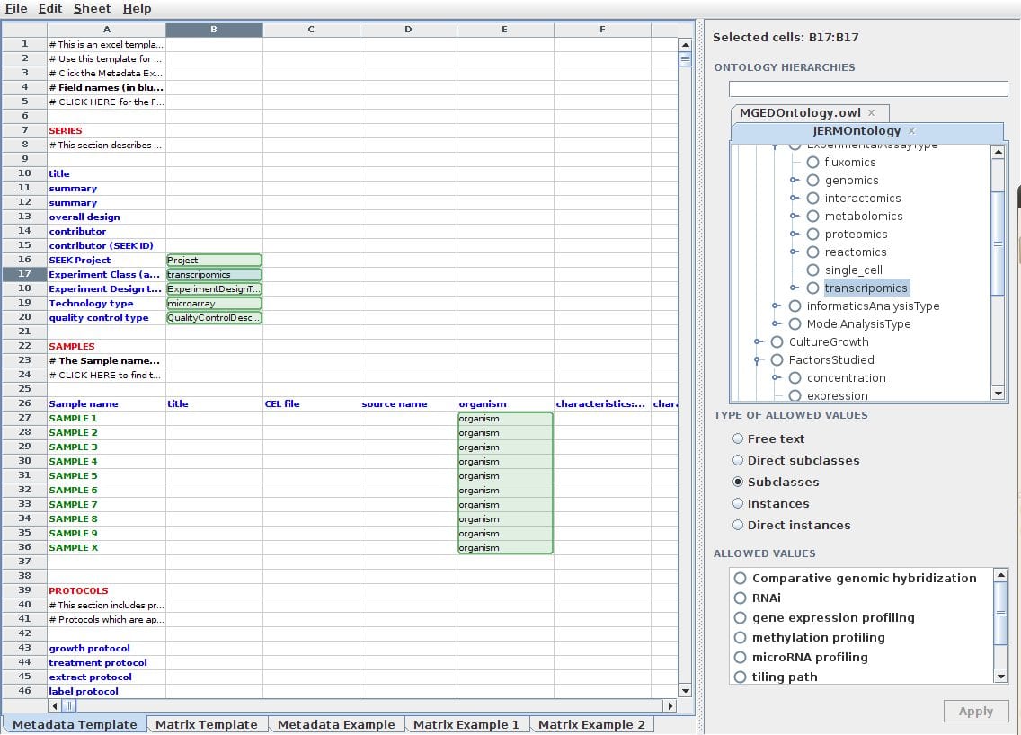 sample excel spreadsheet templates